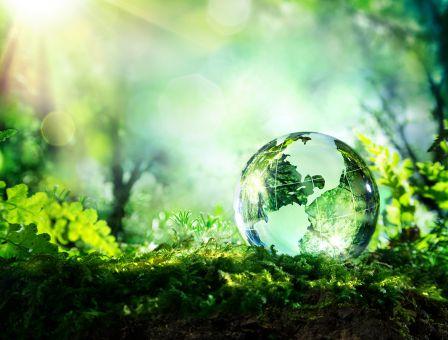 Glass sphere of earth sitting in grass, reflecting the sunlight